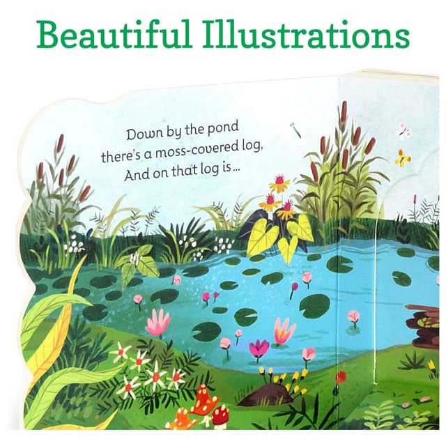 كتاب مصور للاطفال عن الضفادع "الضفدع الأخضر الصغير" من دار نشر كوتاج دور Little Green Frog