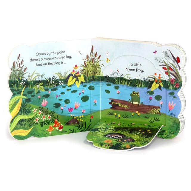 كتاب مصور للاطفال عن الضفادع "الضفدع الأخضر الصغير" من دار نشر كوتاج دور Little Green Frog