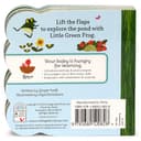 كتاب مصور للاطفال عن الضفادع "الضفدع الأخضر الصغير" من دار نشر كوتاج دور Little Green Frog