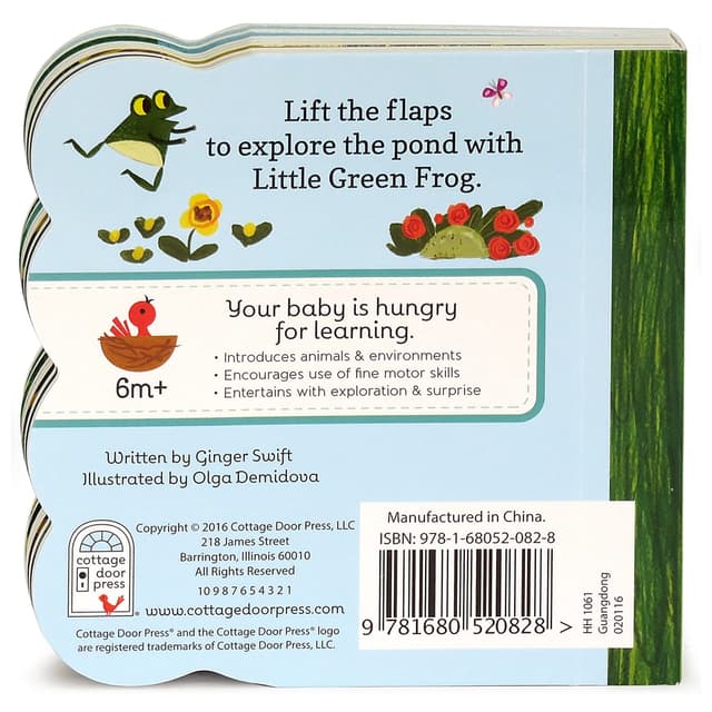 كتاب مصور للاطفال عن الضفادع "الضفدع الأخضر الصغير" من دار نشر كوتاج دور Little Green Frog