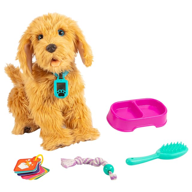 Moji - The Lovable Labradoodle