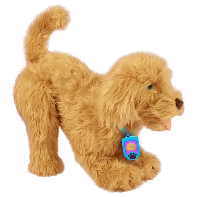 Moji - The Lovable Labradoodle
