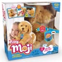 Moji - The Lovable Labradoodle