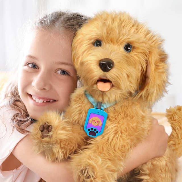Moji - The Lovable Labradoodle