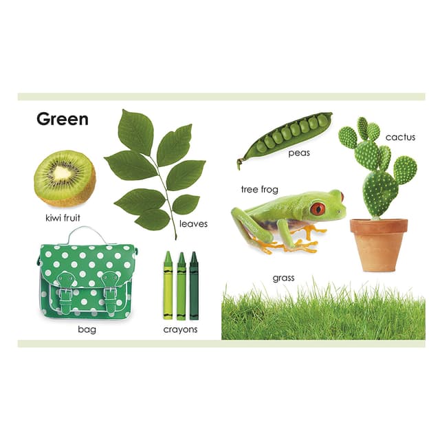 كتاب مصور للاطفال عن الالوان"ألواني الاولى" من دار نشر دي كي My First Colors