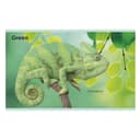 كتاب مصور للاطفال عن الالوان"ألواني الاولى" من دار نشر دي كي My First Colors