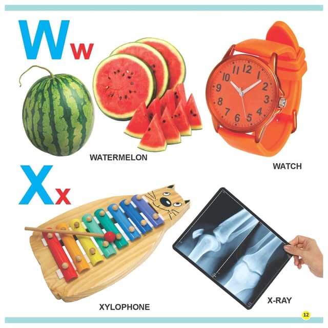 كتاب أحرف اللغة الإنجليزية ABC من دريم لاند My First Library ABC