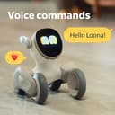 روبوت ذكي بالذكاء الاصطناعي لونا بيتبوت مع شاشة تفاعلية 2.4 بوصة Loona Smart AI Robot Petbot