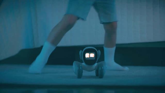 روبوت ذكي بالذكاء الاصطناعي لونا بيتبوت مع شاشة تفاعلية 2.4 بوصة Loona Smart AI Robot Petbot