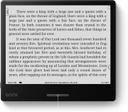 Boox 7" Page 3GB+32GB E-Ink Tablet