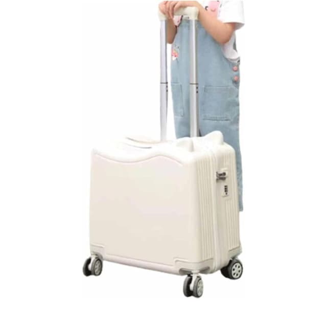 Ride-On Kids Luggage Bag With Spinner Wheel