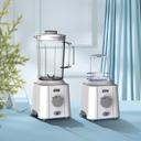 Winning Star 2 in 1 Stainless 2L Blender 350W