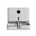 Pet Feeders & Waterers