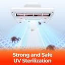 مكنسة تنظيف الكنب والفرش يو ونت 13000 باسكال Uwant M300 Mattress Vacuum Cleaner