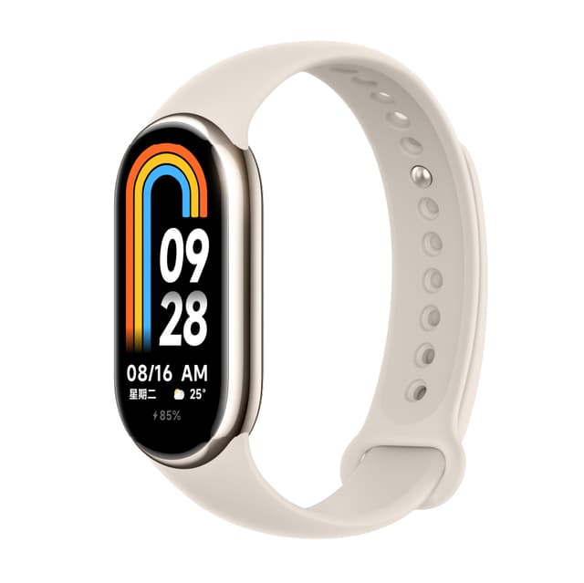 Xiaomi Smart Band 9 Titan Gray