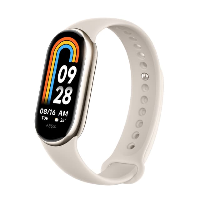Xiaomi Smart Band 9 Titan Gray