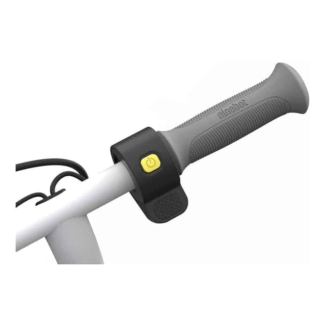 Segway Ninebot eKickScooter ZING C10: Up to 16 km/h Maximum Speed for Kids and Teens, Lightweight and Non Foldable