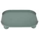 Al Saif Gallery India Light Green Medium Serving Plate With Round Legs