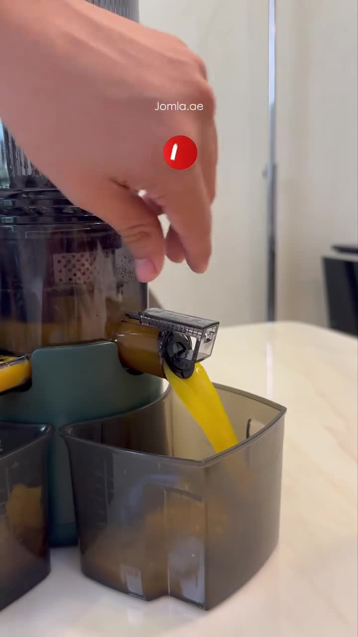 عصارة على البارد للفواكه وينينج ستار 300 مللي 200 واط Winning Star Fruit Juice Extractor