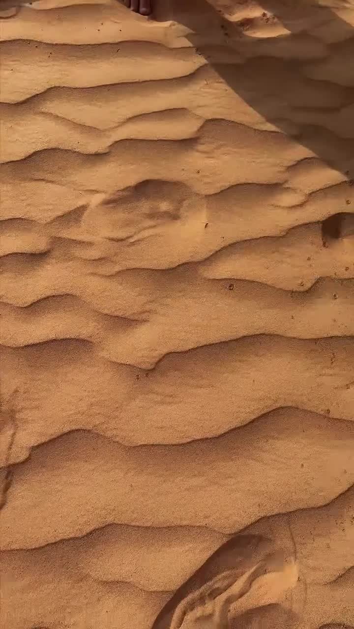 Swimming Pool Inflatable Children Garden Backyard Inflatable 210 CM