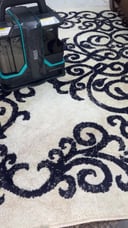 Winning Star Electric Portable Carpet Washing Fabric Sofa Cleaning Machine 450W