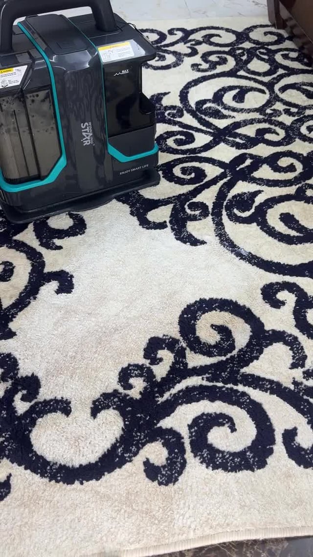 Winning Star Electric Portable Carpet Washing Fabric Sofa Cleaning Machine 450W