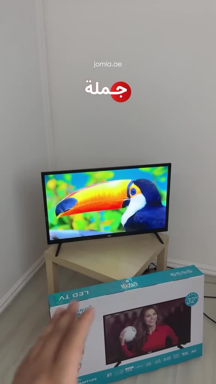 Winning Star Flat Screen Television Smart TV 32 inch