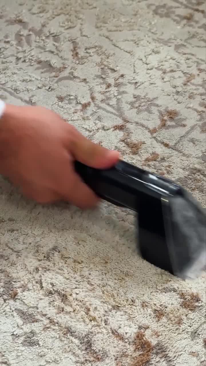 Winning Star 500W + 1200W Carpet and Sofa Cleaner with Steam and Hot Water