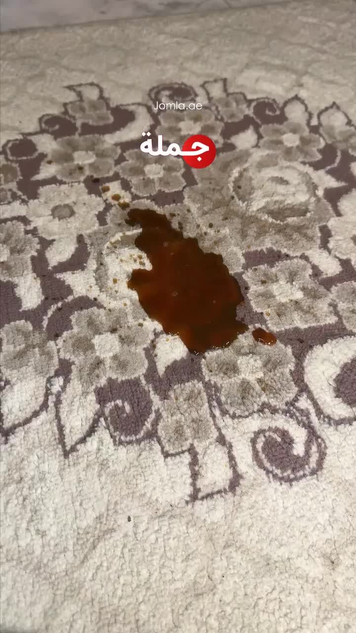 مكنسة غسيل السجاد والكنب جاف ورطب وينينج ستار 500 واط Winning Star Dry And Wet Spot Vacuum Cleaner Machine (مستعمل) (Used)