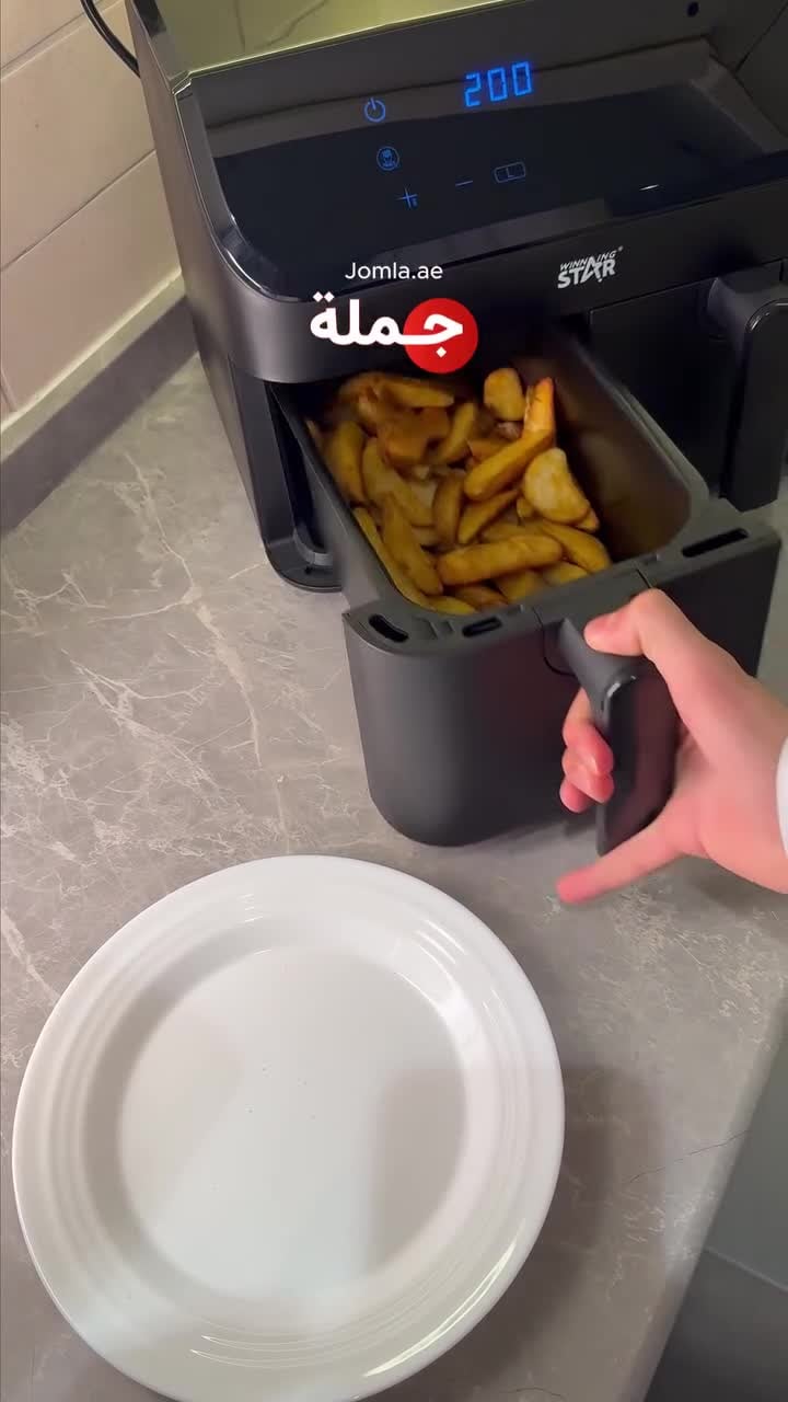 Winning Star 2000W 4.5+4.5L Dual Zone 2-Basket Air Fryer