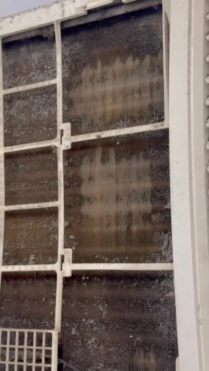 مكنسة بخار كهربائية وينينج ستار جاف ورطب للسجاد والكنب 1300 واط Winning Star Portable Steam Wet and Dry Vacuum Cleaner