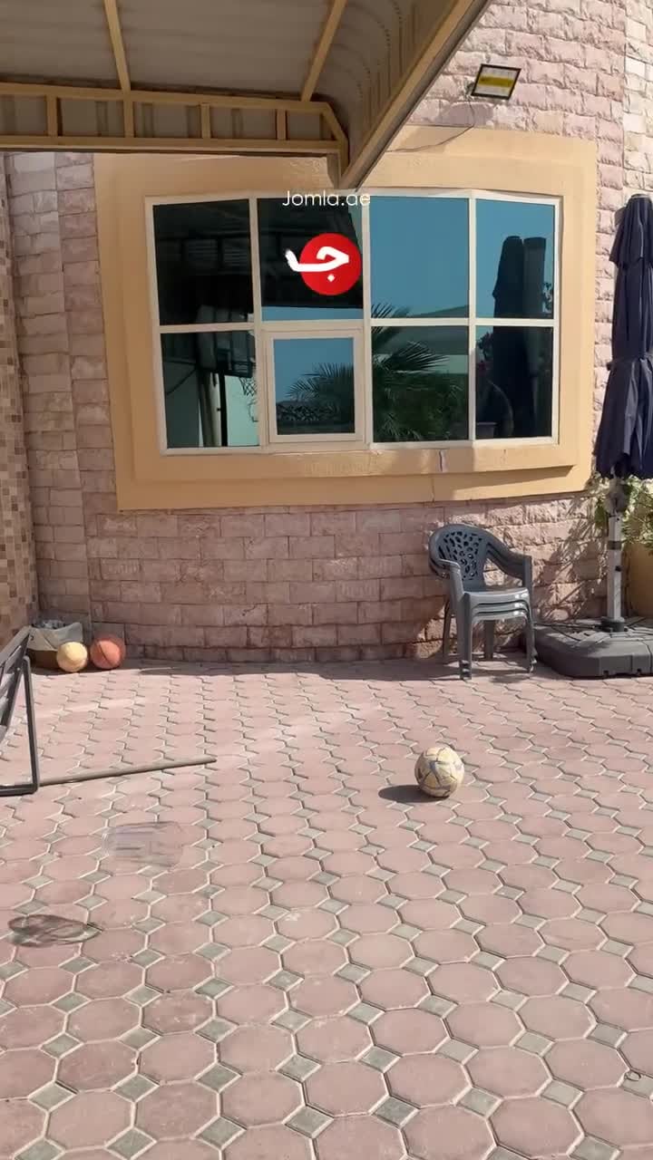 خلاط كهربائي ومطحنة بهارات وينينج ستار 2 لتر 350 واط Winning Star Stainless Blender