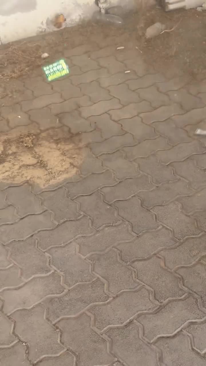 منفاخ هواء محمول مروحة تيربو قابل للشحن 600 واط 4000 مللي أمبير مع اضاءة مدمجة Portable High Speed Turbofan Blower