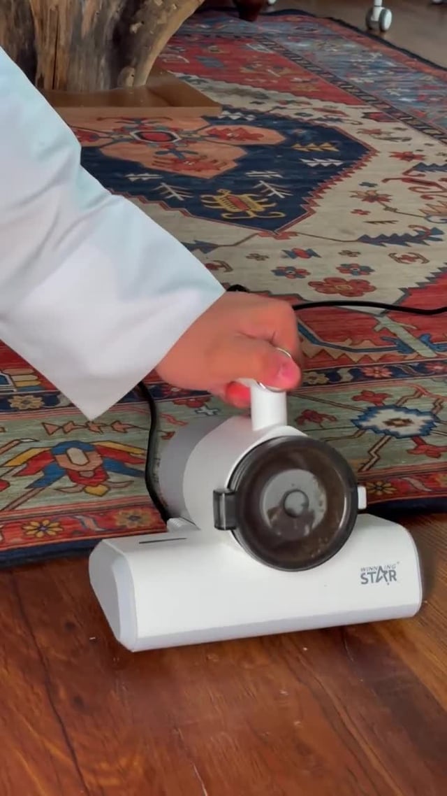 Winning Star Handheld Mite Removal Vacuum Cleaner ST-9520