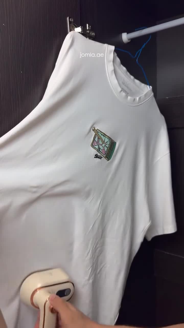 Winning Star 1000W PTC Heating Flat Press Travel Iron for Clothes