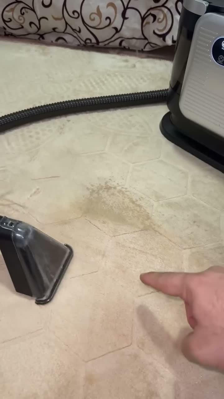 مكنسة غسيل السجاد بالبخار 4 في 1 بقوة 1650 واط دي سي بي بروفيشنال DSP 4‑in‑1 Steam Spot Cleaner 1650W