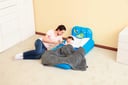 Bestway AIRBED FPRICE DREAM BLUE 132X76X46