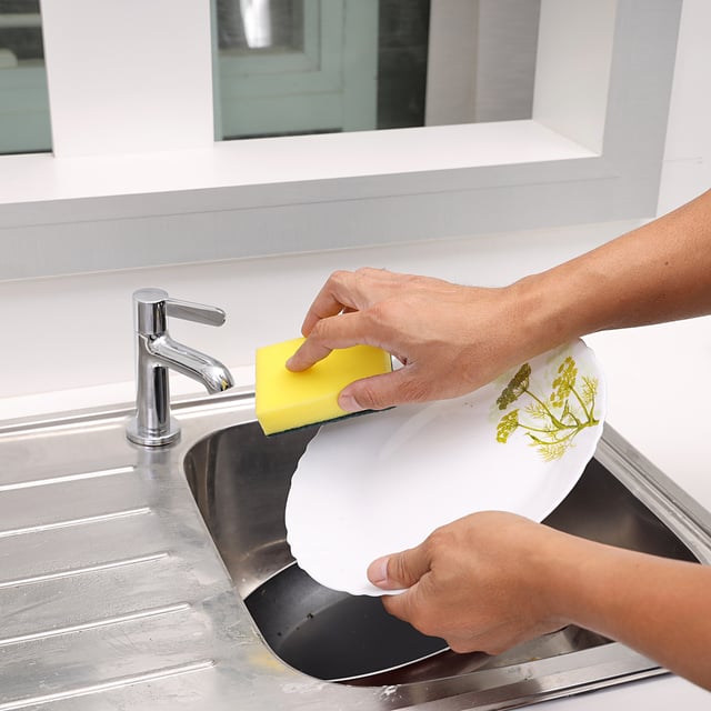 ليفة جلي مزدوجة 10 قطع Royalford - 10Pcs Rosele Wilkins Sponge Scrubber Set