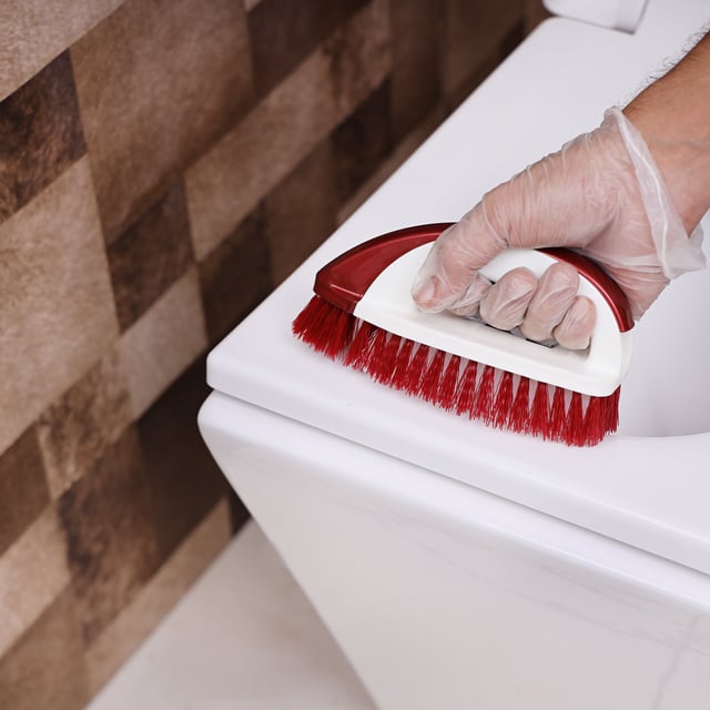 فرشاة تنظيف السجاد يدوية أحمر وأبيض من رويال فورد Royalford Plastic Cleaning Brush