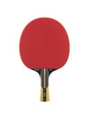 مضرب تنس طاولة دنلوب Dunlop Revolution 5000 TT Bat