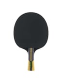 مضرب تنس طاولة دنلوب Dunlop Revolution 5000 TT Bat