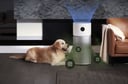 جهاز منقي الهواء شاومي اي لايت الذكي Xiaomi Smart Air Purifier Elite