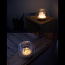 حوض سمك صغير مع اضاءة Fish Bowl Tank With Light