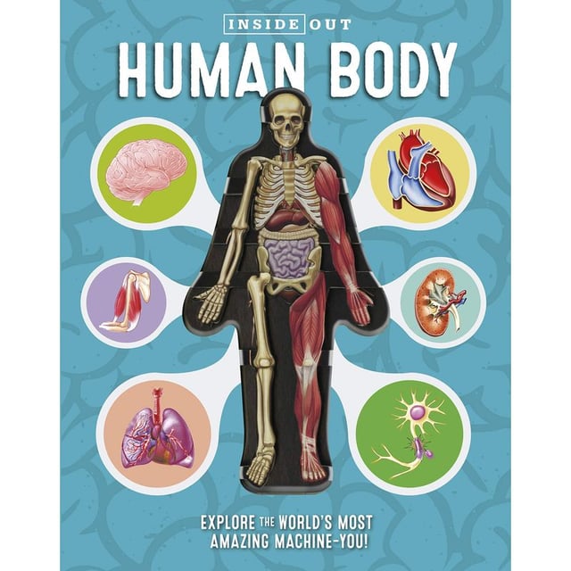 Inside Out Human Body - Book