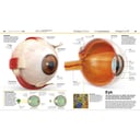 Knowledge Encyclopedia Human Body - Book