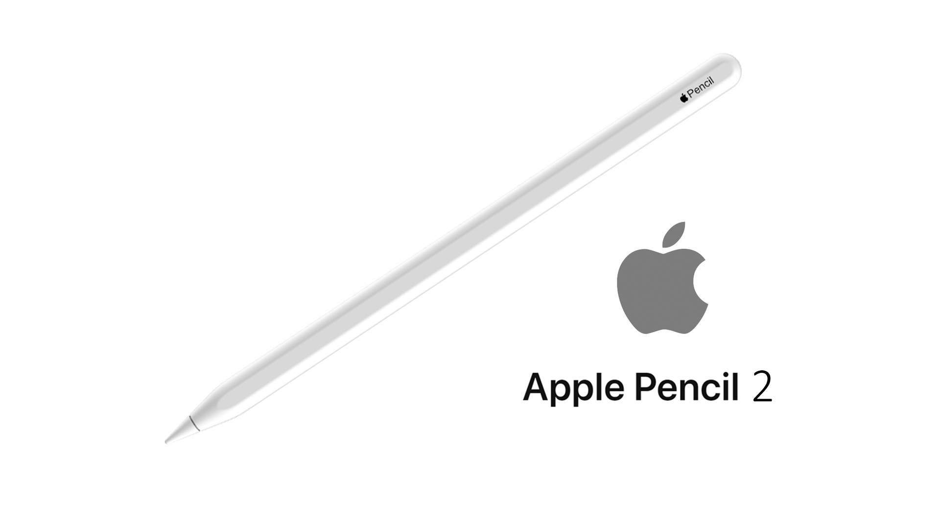 قلم ايباد الجيل الثاني ابل أصلي مستعمل Apple pencil 2nd generation (Used) - cG9zdDoxNDQyODAx