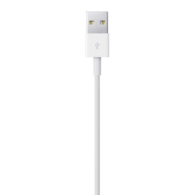 كابل أصلي Lightning إلى USB طوله 1 متر من Apple - SW1hZ2U6Mzc1OTU=