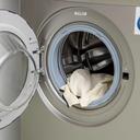 غسالة جيباس أوتوماتيكية بسعة 7 كيلو  Fully Automatic Washing Machine - Geepas (1000 RPM)) - SW1hZ2U6MTUzNjQ1