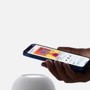 Apple Homepod Mini Smart Speaker - Space Gray - SW1hZ2U6MzA5MDI1