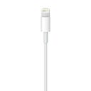 كيبل لشحن أجهزة آبل  Apple Lightning to USB Cable - SW1hZ2U6MzA5MDI5